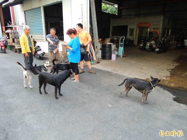 高雄市仁武區仁心路158號附近工廠發現2隻狗屍，飼主懷疑遭人毒死。（記者黃旭磊攝）