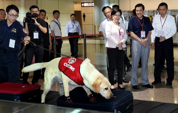 中國一隻緝毒犬，緝毒功力深厚，讓毒梟甚至祭出千萬獎賞的暗殺令，企圖除掉牠。註：情境照，圖與文無關。（資料照，記者朱沛雄攝）