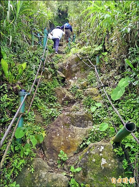 雲林古坑大尖山10-5登山步道，路況及坡度極具挑戰。（記者黃淑莉攝）