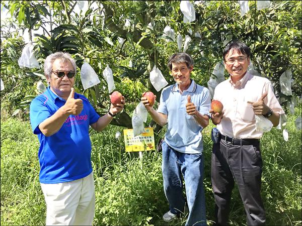 日本群馬縣訪問團參訪自己認養的果樹，讚不絕口。（蒔田農業提供）