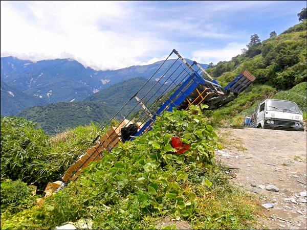 高麗菜車墜陡坡，嚇壞周遭採收的農友。（記者陳賢義翻攝）