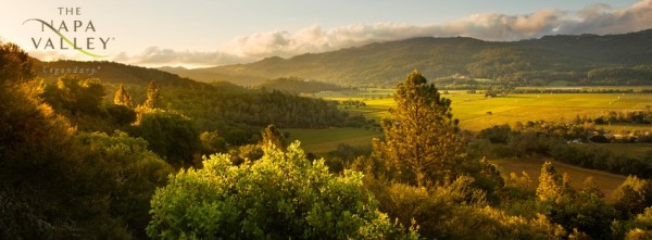 美國加州納帕山谷（Napa Valley）美景絕倫。（圖片擷取自網路）