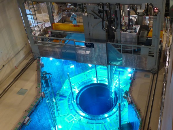 日本鹿兒島縣內的川內核電廠，7日下午將核燃料放入1號機的核反應爐內。（法新社）