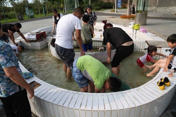 中國動物園金魚觀賞池驚現家長帶孩子撈魚惹議 國際 自由時報電子報