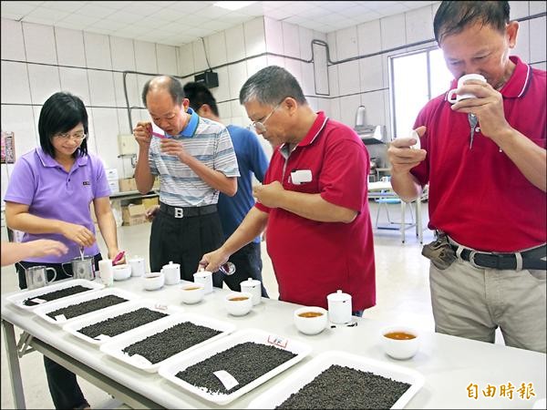 鹿野紅烏龍金牌獎一字排開，讓茶農品評。（記者王秀亭攝）