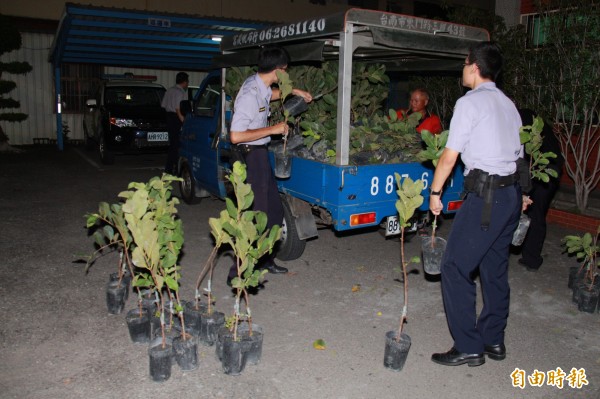 林姓果農跟警方一起把被偷的樹苗搬上車。（記者陳冠備攝）