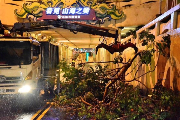 花蓮市中山地下道因倒塌的路樹一度造成交通中斷，市公所隨即派員清除，半小時內就恢復通行。（記者王錦義翻攝）