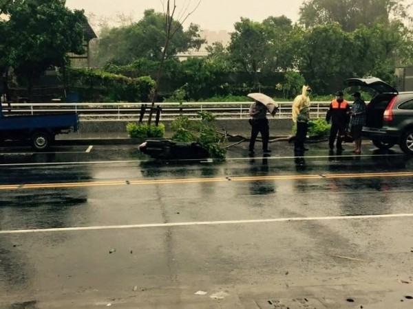 李姓女騎士騎機車經過凱旋三路，遭倒下路樹撞擊，人車倒地，李女右手肘擦傷。（記者方志賢翻攝）