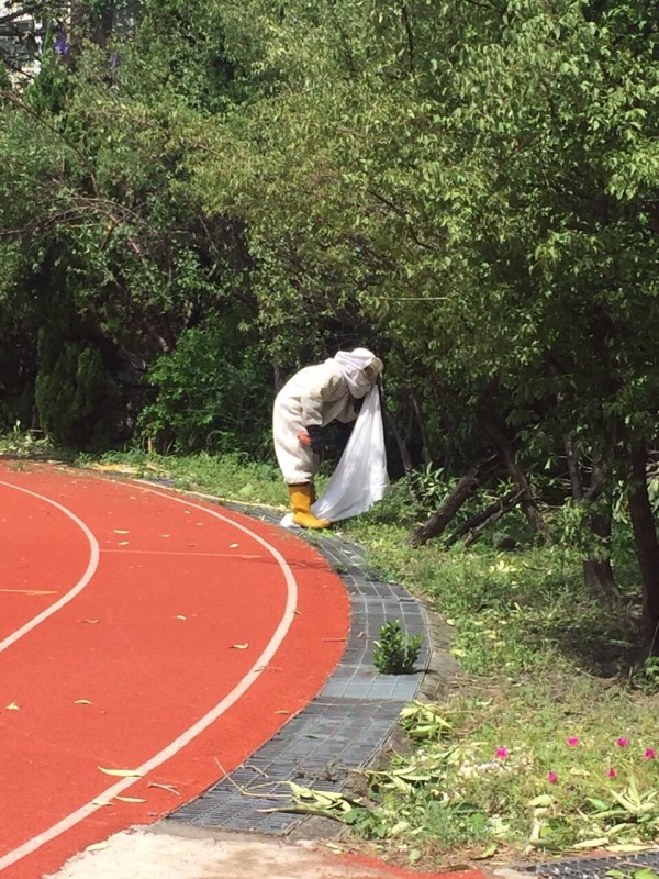 颱風過後清到蜂窩，兩學生被螯傷，校方通報消防局除蜂窩。（圖：校方提供）