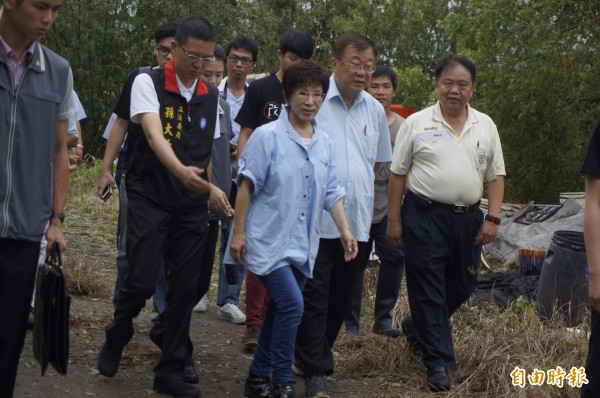 國民黨總統參選人洪秀柱昨在農委會主委陳保基等中央官員陪同下，前往桃園市八德區勘查蘇迪勒颱風災情。（資料照，記者林近攝）