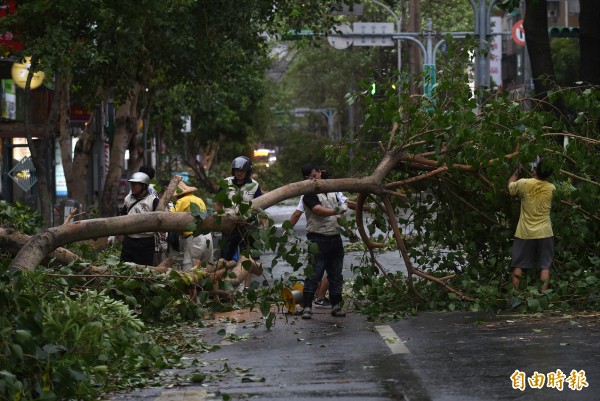 中颱蘇迪勒襲台，台北地區路樹嚴重受損，里民組隊幫忙清理倒塌的路樹。（資料照，記者簡榮豐攝）