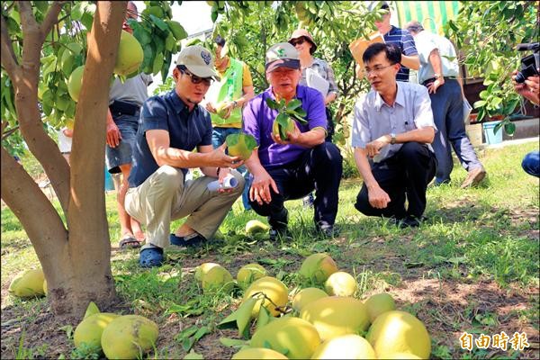 農糧署長李蒼郎（中）在立委劉建國（左）陪同下，勘查農損災區。（記者詹士弘攝）