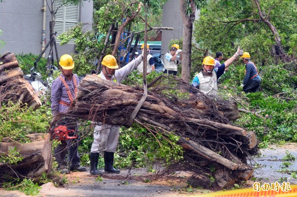 蘇迪勒颱風過後，台北市環保人員總動員清理被強風吹倒的路樹。（資料照，記者王藝菘攝）