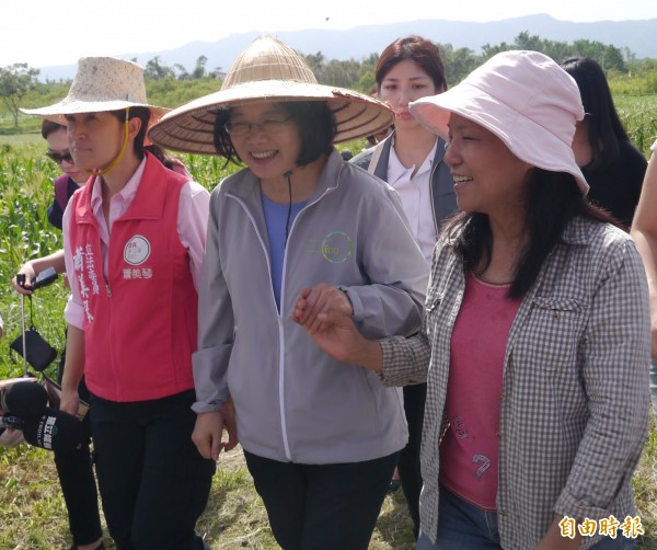 民進黨主席蔡英文、立委蕭美琴今天上午到花蓮縣壽豐鄉「伍佰戶有機農場」與在地有機農友林珮汝見面，期望了解當地農業生產概況，進一步推動新的農業政策。（記者王峻祺攝）