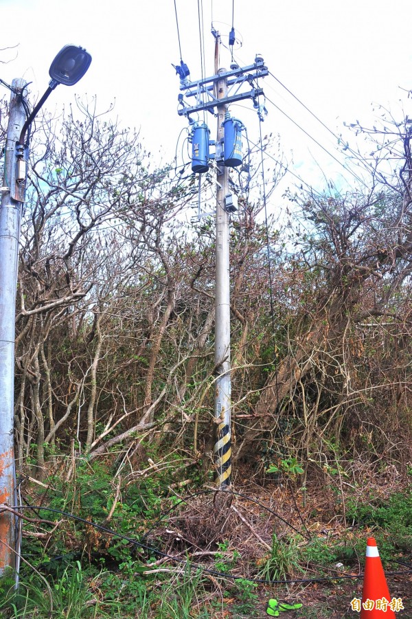 高壓電纜掉落處。(記者蔡宗憲攝) 高壓電纜掉落處。(記者蔡宗憲攝)