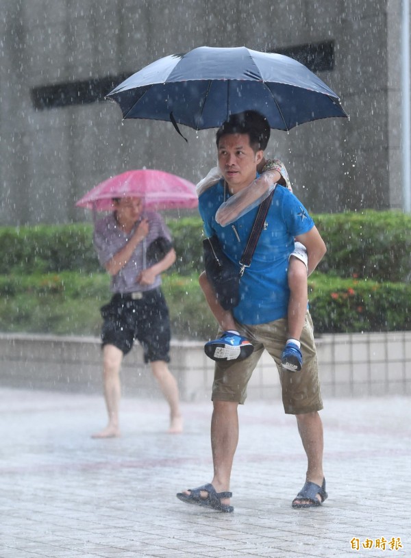 天鵝本週末為全台帶來雨量，東半部和北部的降雨較明顯。（資料照，記者方賓照攝）