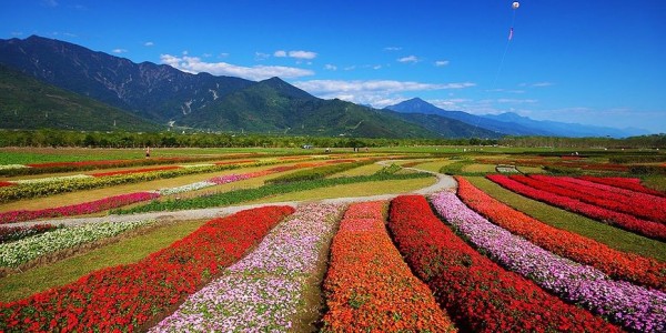 圖為花蓮光復自行車道。（圖擷自「10大自行車經典路線」網站）