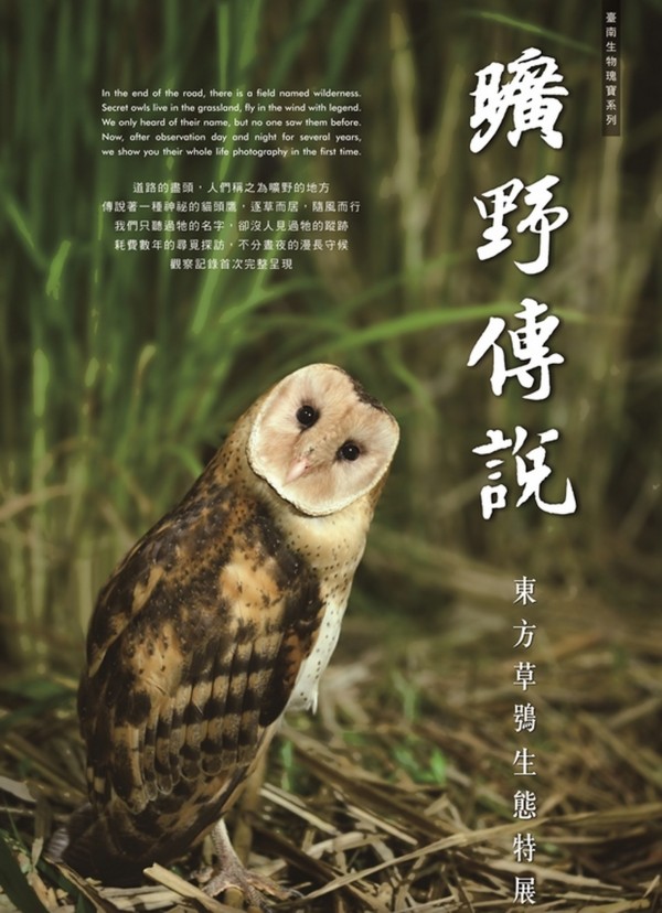 「2015曠野傳說─東方草鴞生態特展」9月1日起登場，將首次公開研究者多年觀察拍攝，未曾曝光的珍貴影像。（記者王涵平翻攝）