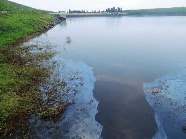 七美水庫發現大規模油汙，懷疑是鄰近道路鋪設柏油所致。（遊客提供）