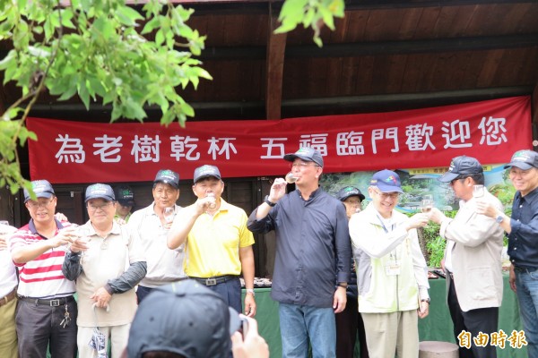 台灣搶救老樹協會與地主簽訂協議，長期認養五福臨車800年老樟樹，大家為老樹乾杯（記者陳品竹攝）