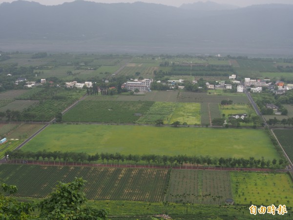 龍田大草原占地五公頃，縱管處有意活化，卻引起當地區民反彈。（記者王秀亭攝）