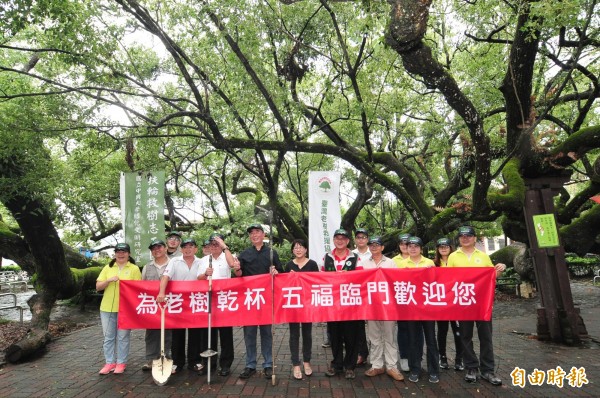 台灣老樹救援協會與石岡區五福臨門神木的地主簽約，將進行養護。（記者李忠憲攝）