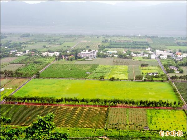 龍田大草原占地5公頃，縱管處有意活化打造度假村。（記者王秀亭攝）