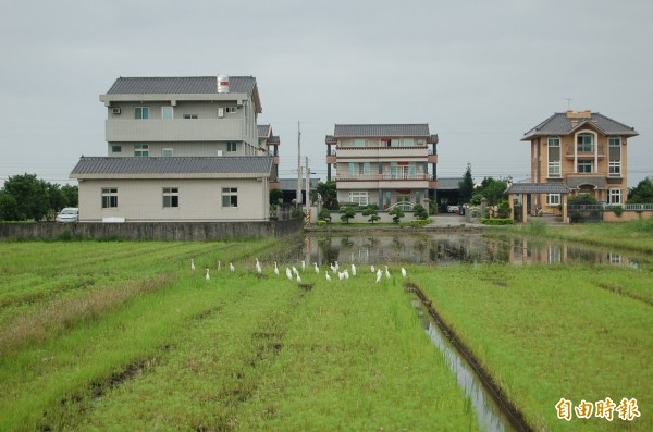 農業委員會主委陳保基一直堅持買賣農舍必須是農民或有務農之實，行政院今天也通過「農發條例」18條之1。（資料照，記者游明金攝）