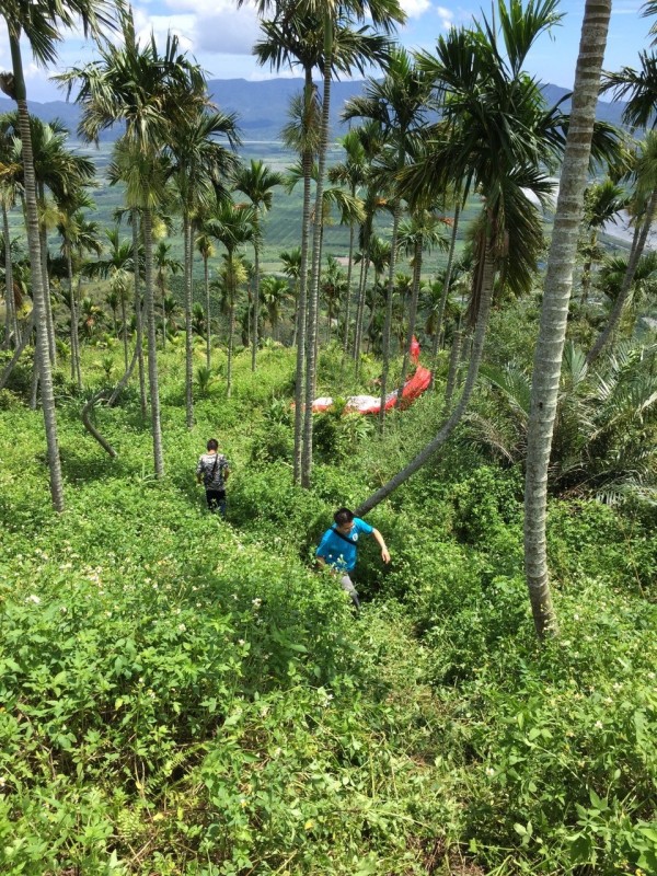 男子於花蓮萬榮鄉明利村上部落的飛行傘基地，因起飛失敗、傘被檳榔樹卡住，墜落飛行平台下方草叢。（花蓮縣消防局提供）