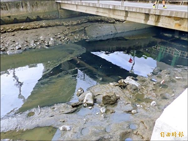 黑色污水直接排入淡水河，現場瀰漫惡臭味。（記者蕭婷方攝）