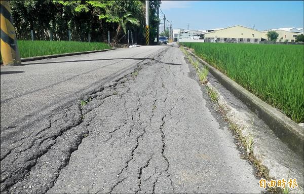 大里區大里路455巷路面坍陷傾斜，市議員張滄沂要求早日修復。（記者陳建志攝）