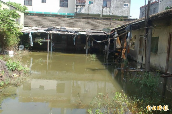 台西地勢低窪的空屋雨後積水未消，居民憂心滋生病媒蚊。（記者陳燦坤攝）