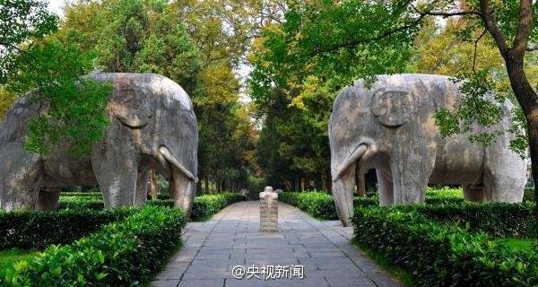 中國遊客亂刻名明孝陵600年石象也遭殃- 國際- 自由時報電子報