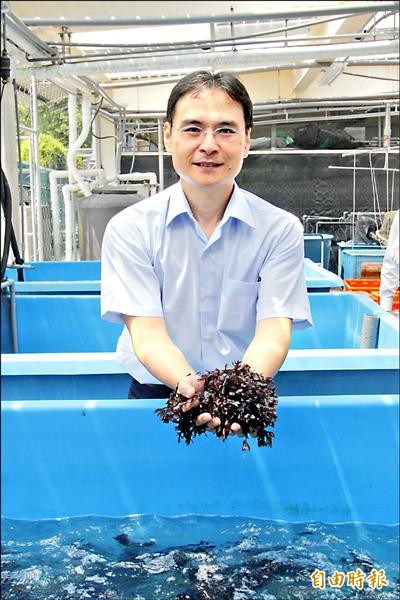 水產養殖系助理教授李孟洲指出，為了確保海藻養殖的衛生條件，除了定期檢測培養用海水的重金屬含量，生產出的藻類也必須經過精密儀器檢測。（記者邱芷柔攝）