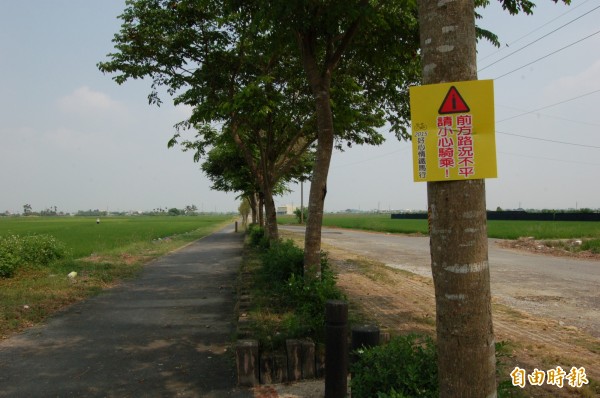 小南海單車道路面遭竄起樹根破壞，單車活動主辦單位行道樹上貼上警語。（記者王涵平攝）