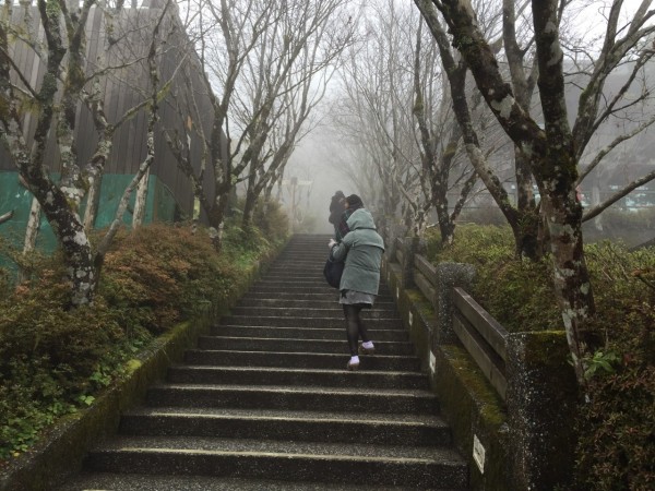 太平山即日起預警性封閉。（圖由羅東林管處提供）
