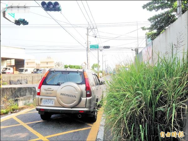 大村鄉中正東路二六九巷多處路段雜草長得比人高，影響行車安全。（記者顏宏駿攝）