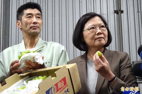 蔡英文大啖具有玫瑰香氣的翡翠綠葡。（記者蘇芳禾攝）