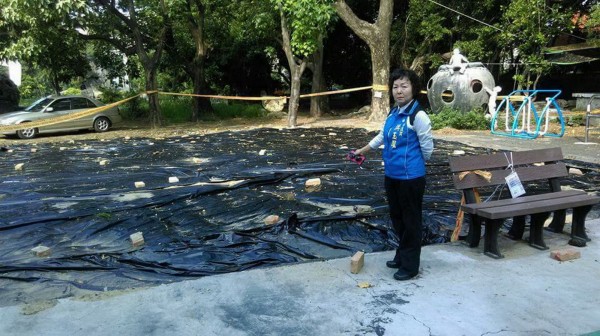 洪玉鳳指體育公園雨後塑膠布周圍都是積水，卻不見相關單位清處。（洪玉鳳提供）
