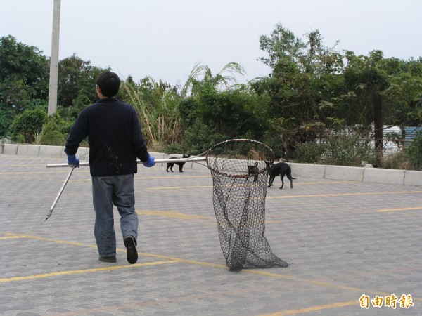 11月起，台東縣流浪犬貓捕捉業務由動防所接手執行。（記者張存薇攝）