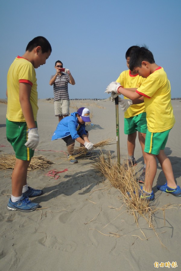 佳里子龍國小學童分工合作，將稻草豎立在沙洲上，守護台南的海岸線。（記者劉婉君攝）