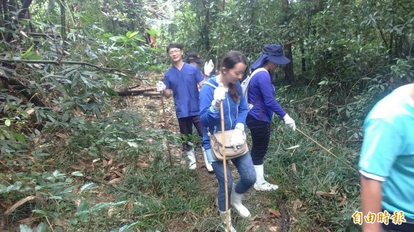 高雄市甲仙山區發現有流浪犬被捕獸鋏（俗稱山豬吊）夾斷腿，動保處人員與多名志工穿著雨鞋以長棍搜尋，發現3個捕獸套繩。（記者黃旭磊攝）