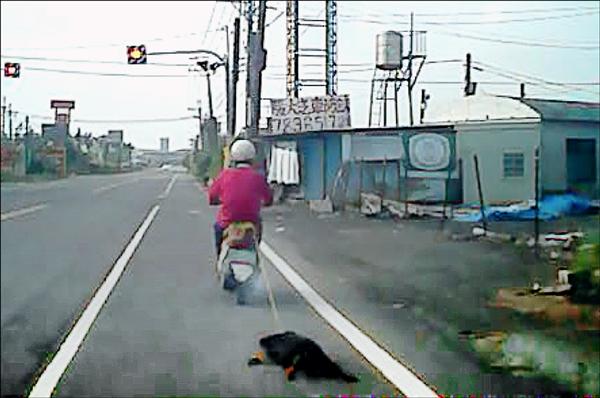 酒駕又虐狗，男子遭熱心民眾阻擋。（記者邱芷柔翻攝