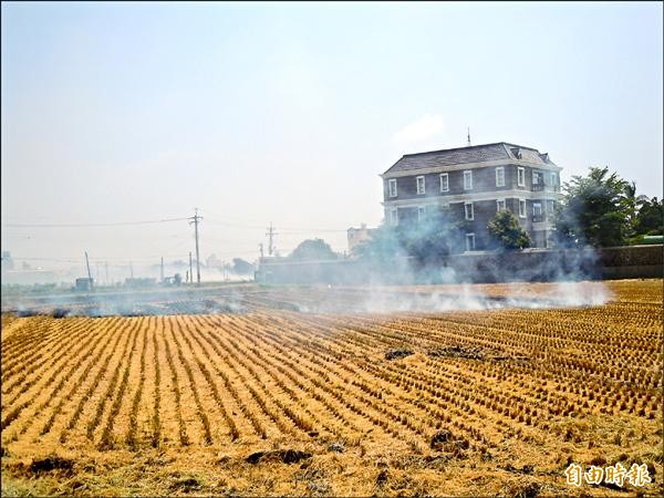 即將進入二期稻作收割期，環保局查察燒稻草不手軟，另一方面補助農民購買就地分解稻草的腐化菌，鼓勵農民以腐化菌分解稻草。（記者張聰秋攝）