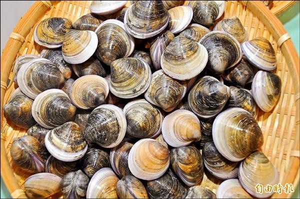 秋季溫差大養殖文蛤注意監控 地方 自由時報電子報