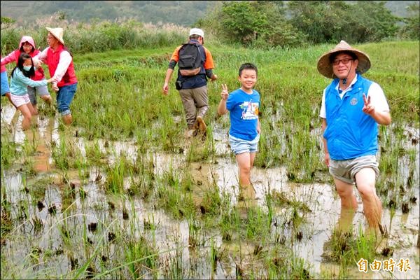 水梯田復育扶輪社友赤足體驗 地方 自由時報電子報