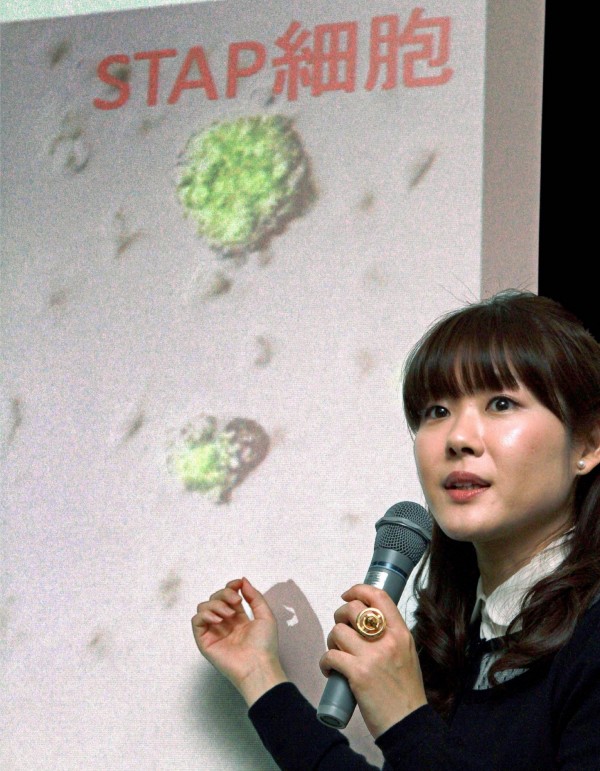 日本美女科學家小保方晴子去年提出被譽為諾貝爾獎等級的研究成果「新型萬能細胞STAP」,卻被爆出造假疑雲。(法新社) 日本美女科學家小保方晴子去年提出被譽為諾貝爾獎等級的研究成果「新型萬能細胞STAP」,卻被爆出造假疑雲。(法新社)