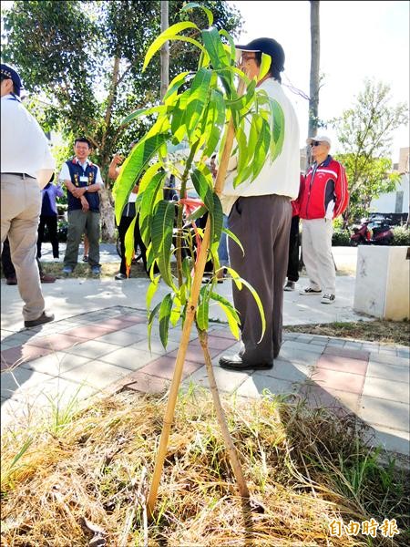 后里運動公園遭民眾私自植樹。（記者張軒哲攝）