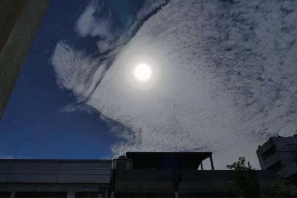照片中雲層呈現棉花狀，堆積成片狀，而躲在雲層後面的太陽清晰可見，太陽周圍的雲層呈現直角狀，這也讓鄭明典興奮地說：「太陽的位置，好像是魚眼睛~~」（圖擷取自鄭明典臉書）