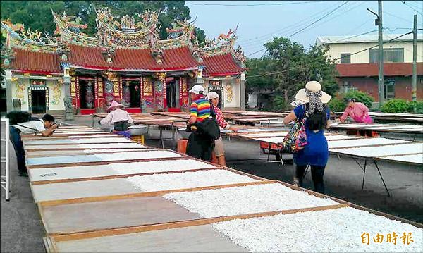 白河蓮鄉處處可見蓮農忙曬藕粉，美麗的人文風景吸引不少民眾前往取景。（記者王涵平攝）